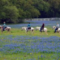 Take a ride through the glorious fields at Blisswood Bed and Breakfast Ranch