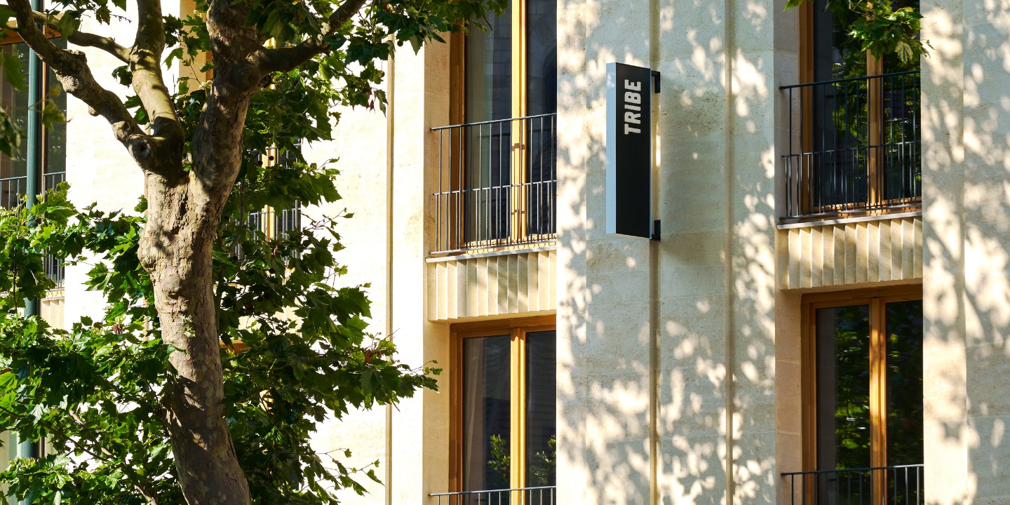 Modern building façade with large windows, green accents, and a "TRIBE" sign, framed by lush greenery.