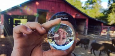 Stillwaters Farm, Henderson, Tennessee | Farm Stay USA