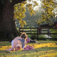 Our rose gardens serve as a crop area for our winery, producing culinary roses for our rose petal wines.