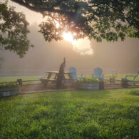 Our rose gardens serve as a crop area for our winery, producing culinary roses for our rose petal wines.