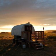Winona Shepherds Wagon