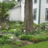 Labour of Love Landscaping and Nursery, Glover, VT | Farm Stay USA