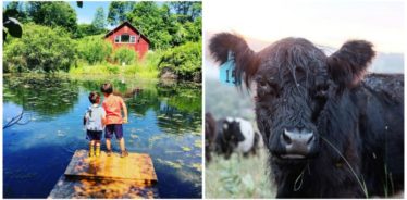 reek Farmstead, Walton, New York | Farm Stay USA