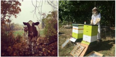 Toddy Pond Farm, Monroe, Maine | Farm Stay USA