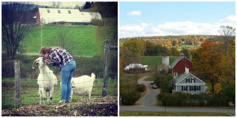Inn at Valley Farms, Walpole, New Hampshire | Farm Stay USA