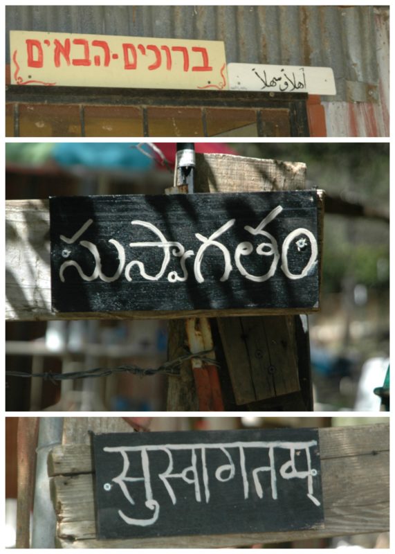 Willow Creek Ranch Farm Stay, Mountain Ranch, California | Farm Stay USA