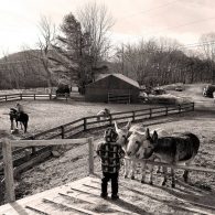 Horse grooming at Farm School