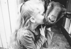 little girl kissing a goat