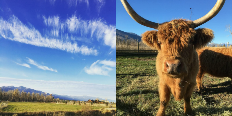 ABC Acres, Hamilton, Montana | Farm Stay USA