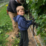 come learn about how we process grapes!