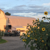 Guests fishing in the farm pond.