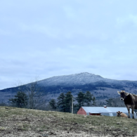 Swinging with a view of Mt Monadnock