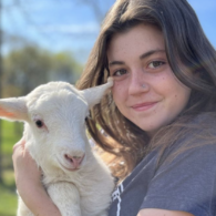 Ariel of the Inn when it first opened in 2021.