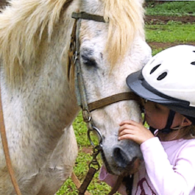 Time for a pony ride, Get a riding lesson tomorrow.